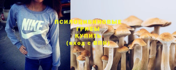 прущий лед Гусиноозёрск