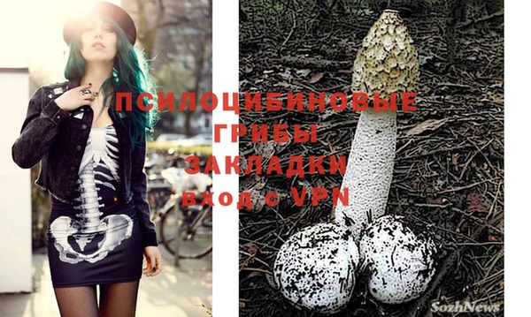 кокаин VHQ Гусев