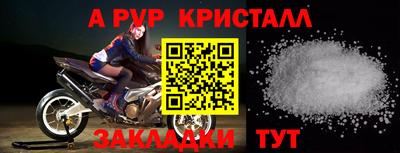 индика Кингисепп