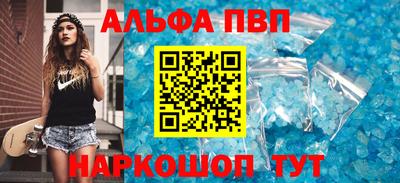 индика Кингисепп