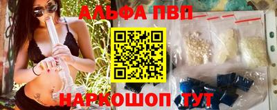 индика Кингисепп