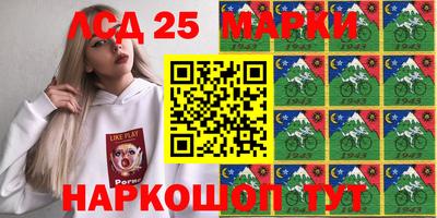 индика Кингисепп