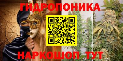 spice Кимры