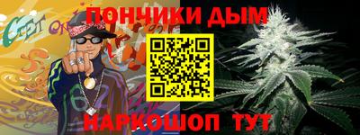 индика Кингисепп