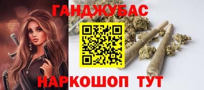 индика Кингисепп