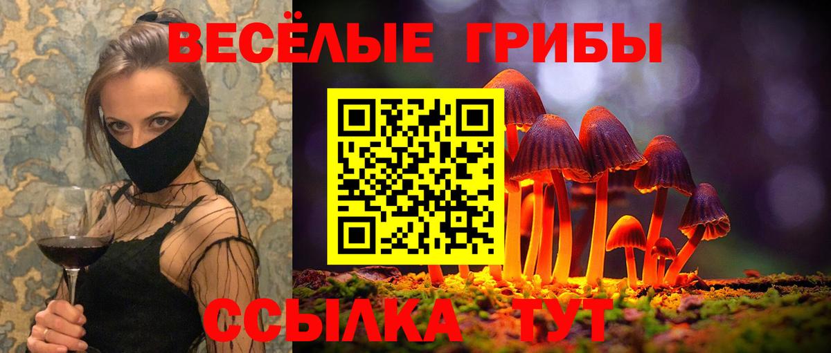 Советский  Галлюциногенные грибы Cubensis  Вход с VPN 